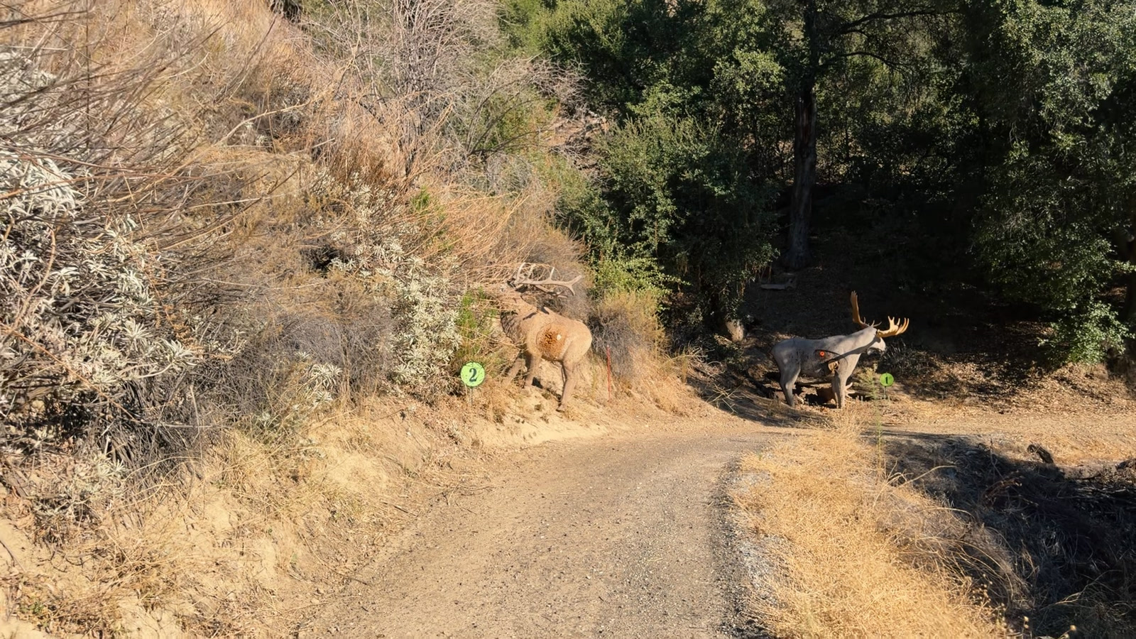 The 3D roving course from the path: the deer target at station two and the moose at station one, up the trail